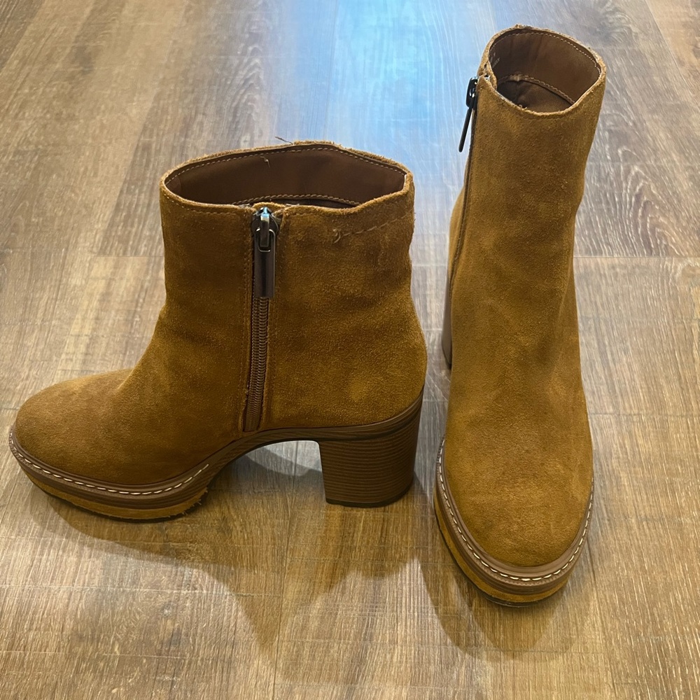 Steve Madden Shaniya Brown Suede low boot